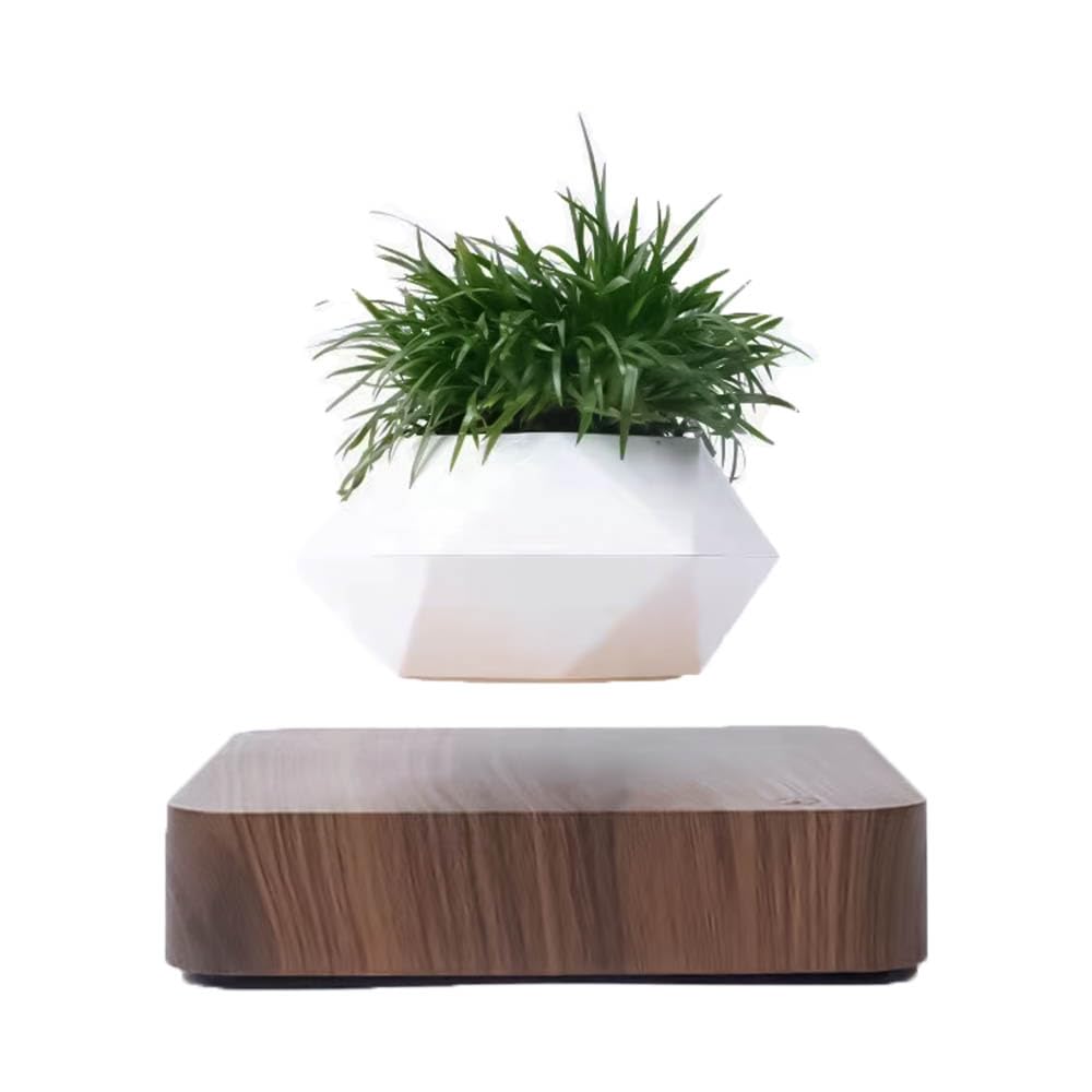 Amazon.co.jp: FGY 宙に浮く盆栽 プランター 観葉植物 磁気浮上 鉢植え